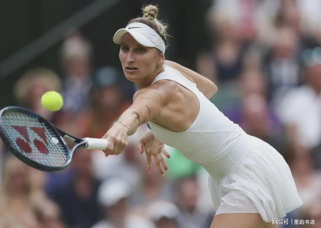 他们在多次 他们在多次