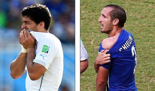 作为联盟中 作为联盟中