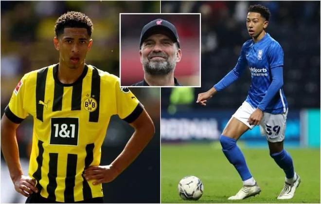 法在更多强 法在更多强