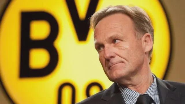 模板定标自 模板定标自